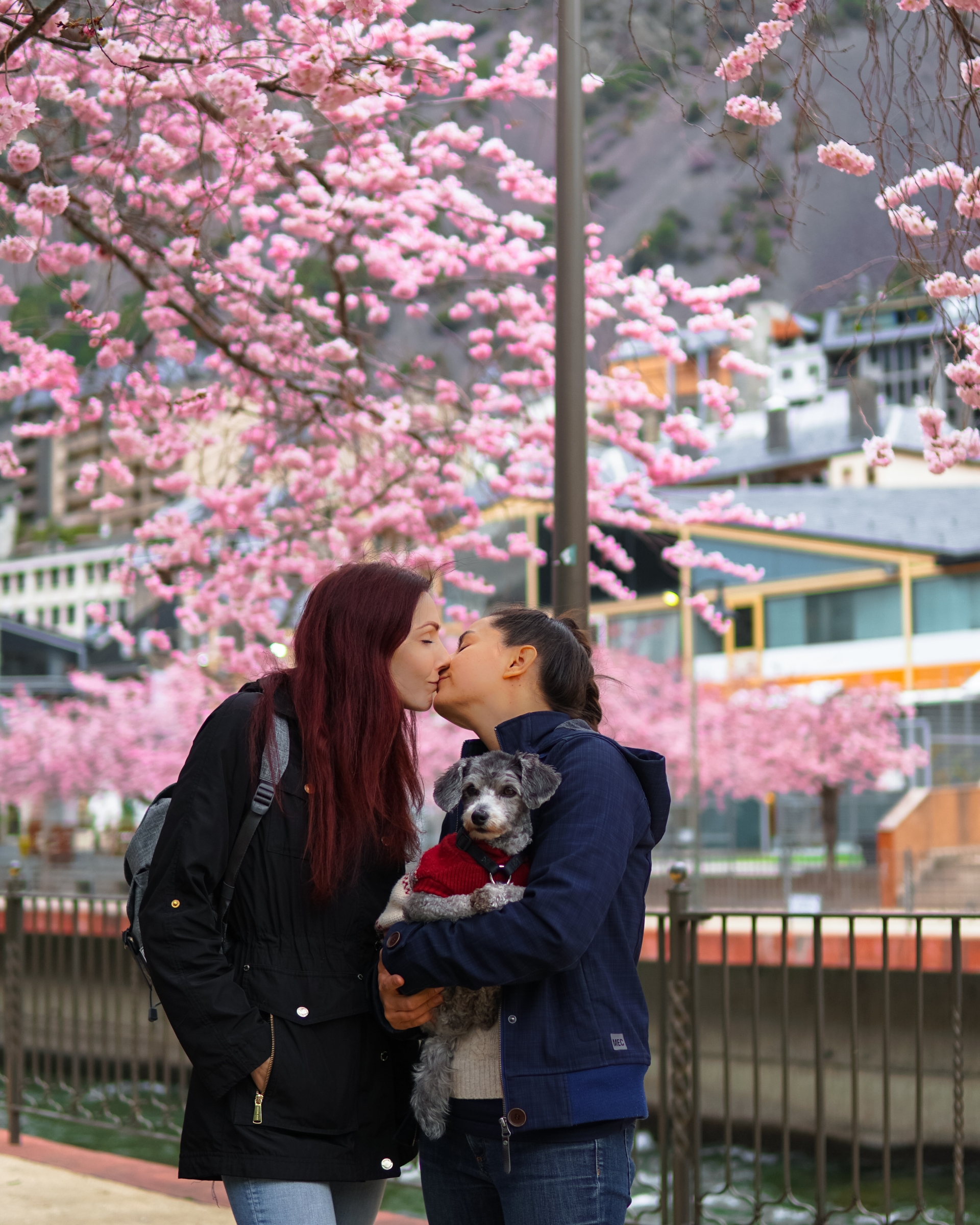 Lesbian Couple Kiss Cherry Blossom