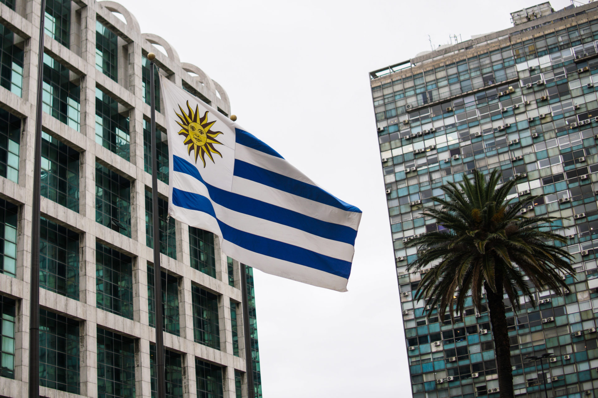 Uruguay Flag City Montevideo