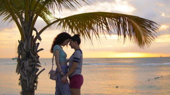 Lesbian Couple Beach Sunset Palm Tree