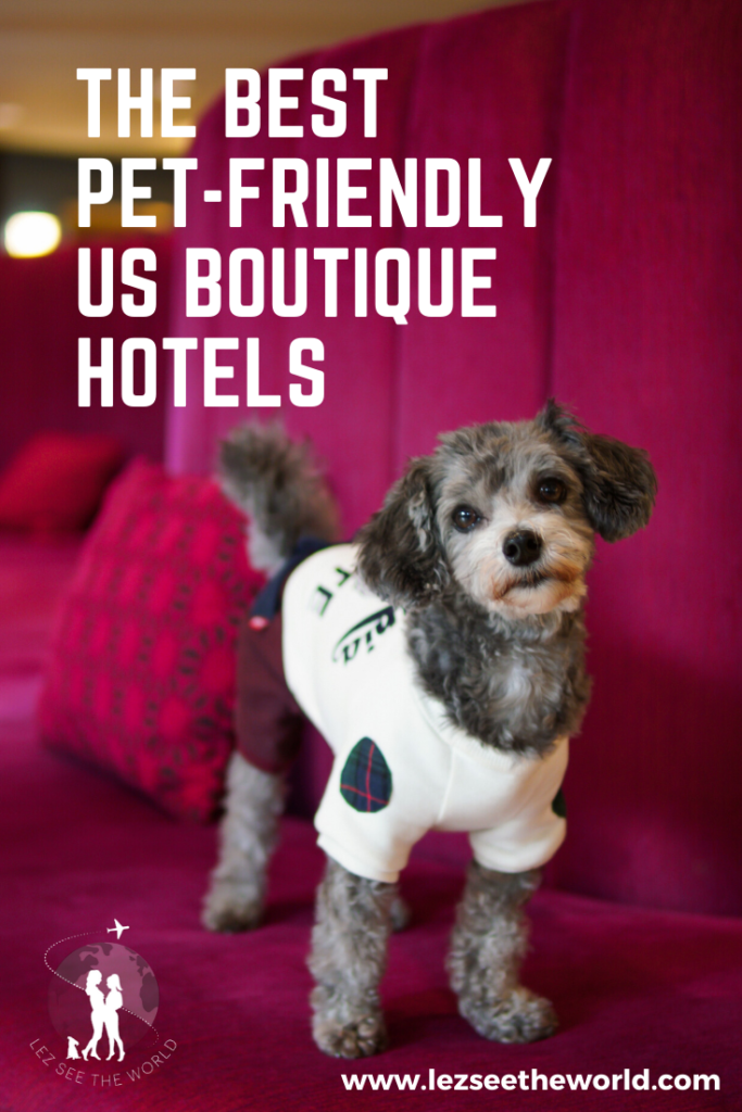 Dog Friendly Boutique Hotel Pinterest