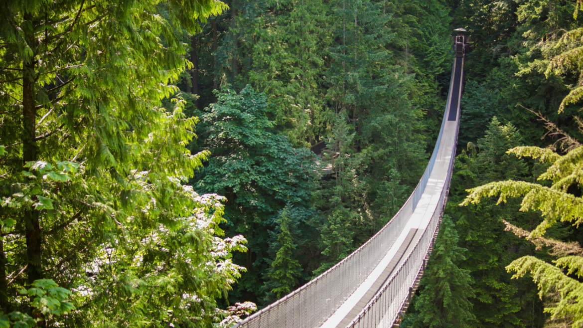 Capilano Suspension Bridge