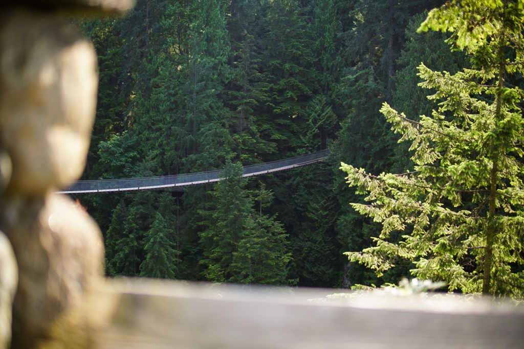 Capilano Suspension Bridge