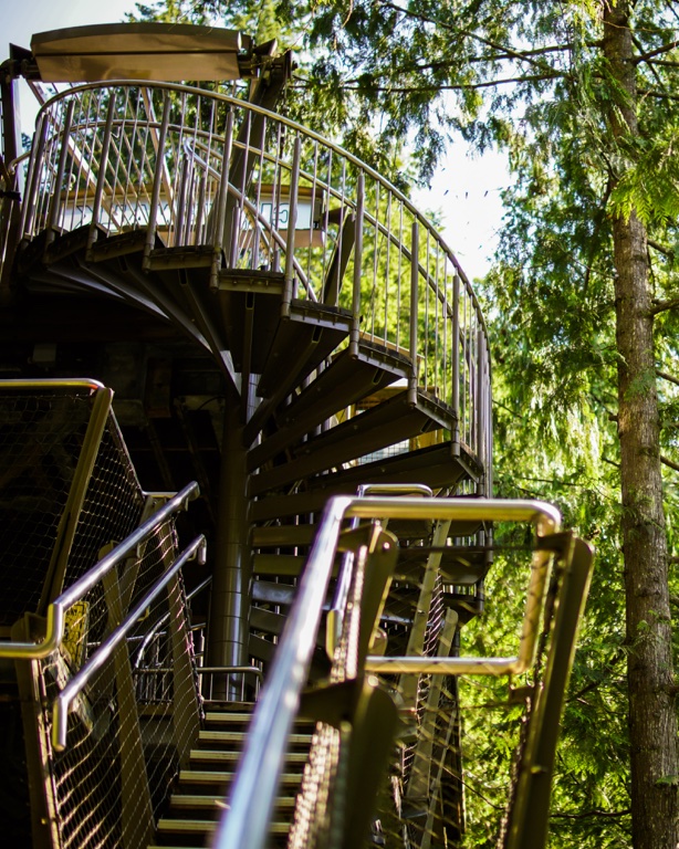 Capilano Suspension Bridge