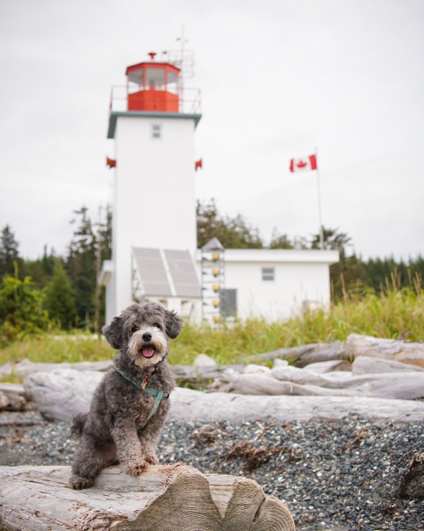 Sointula BC Lighthouse Dog