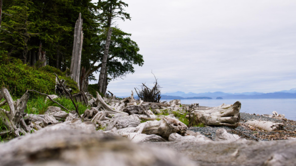 Malcolm Island Bere Point