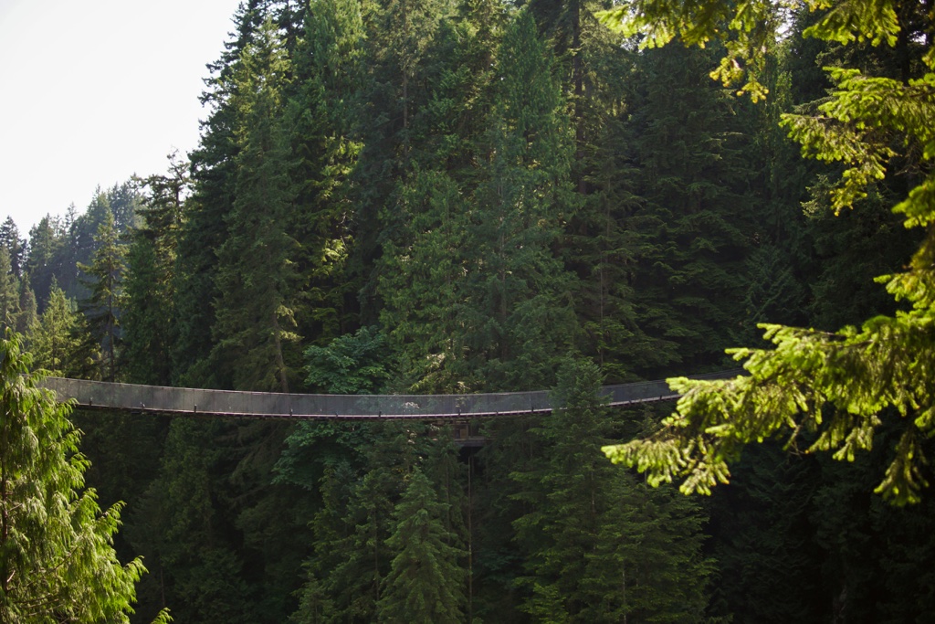 Capilano Suspension Bridge