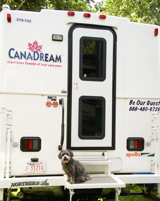 CanaDream RV Camper Dog