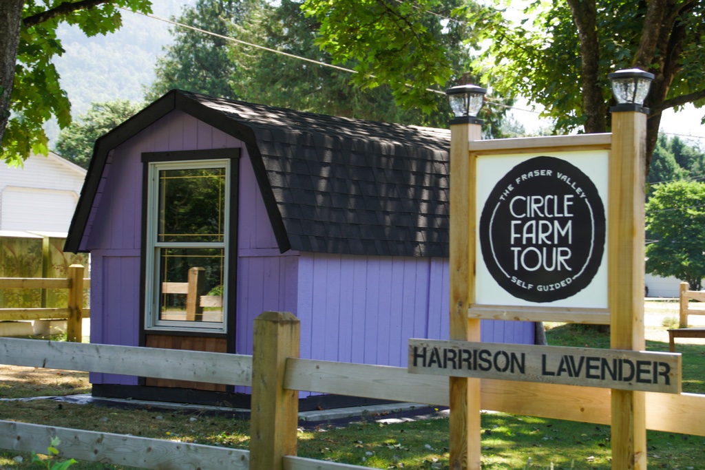 Harrison Lavender Farm