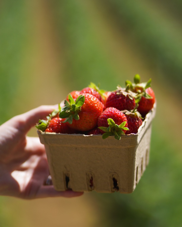 Maan Farms Strawberries