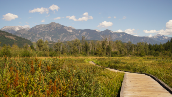 Pemberton Lez See the World