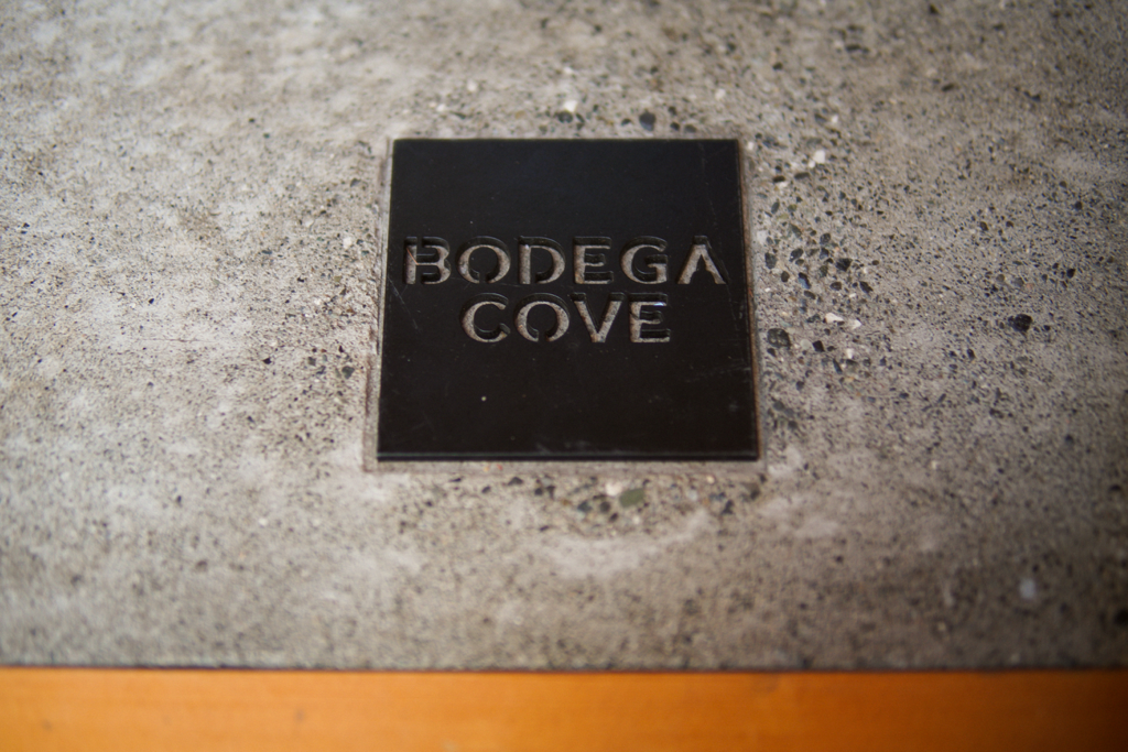 Bodega Cove 