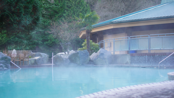 Harrison Hot Springs Pool
