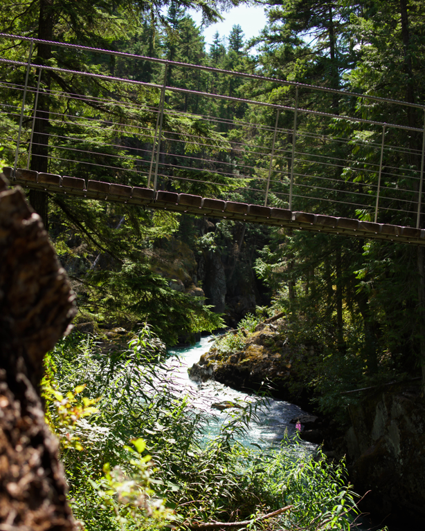 Whistler Train Wreck Trail Bridge