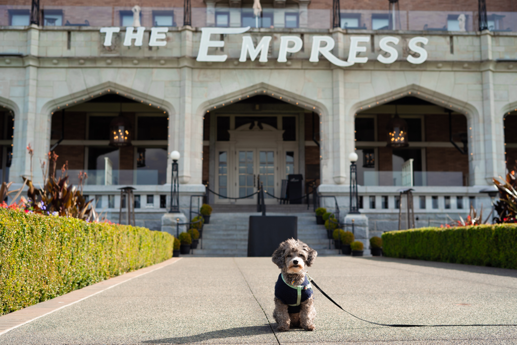 Fairmont Empress Hotel Victoria Dog Friendly