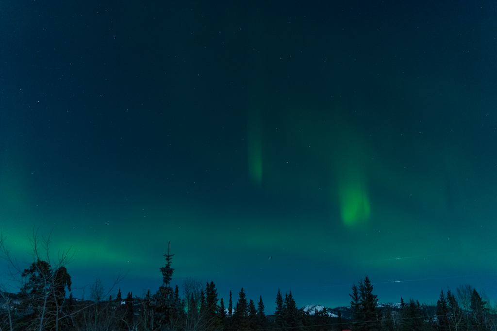 Whitehorse Yukon Aurora Northern Lights